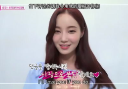 puppy小姐姐,萌宠界的时尚宠儿